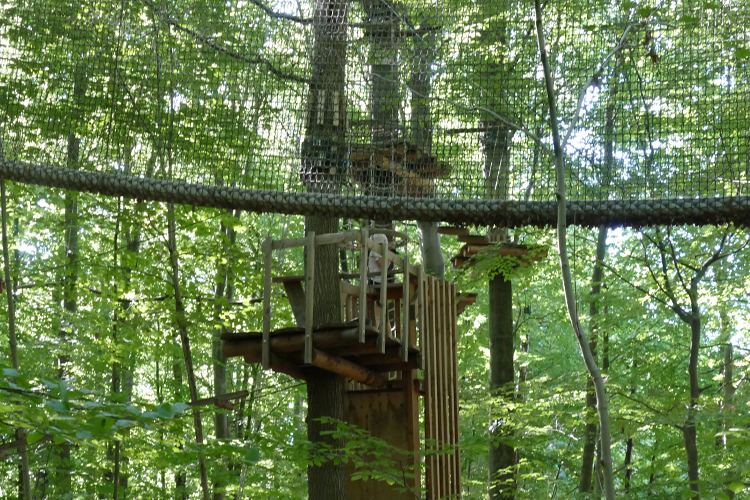 KletterWald (10)