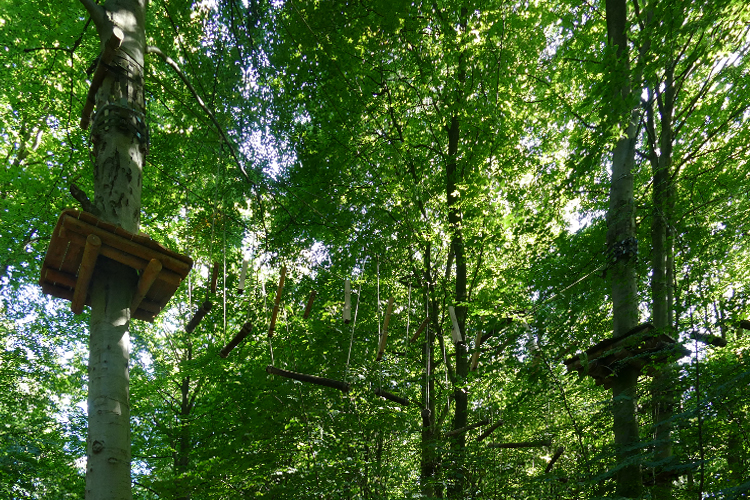 KletterWald (11)