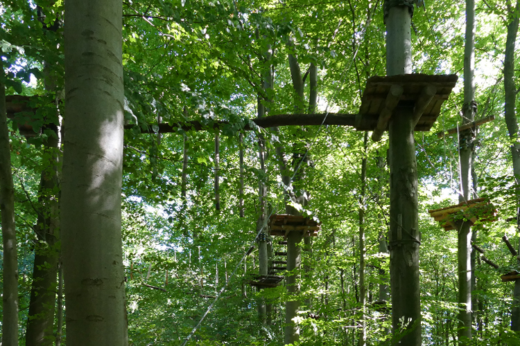 KletterWald (12)