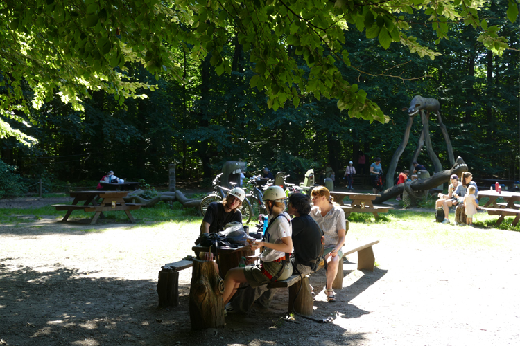 KletterWald (3)