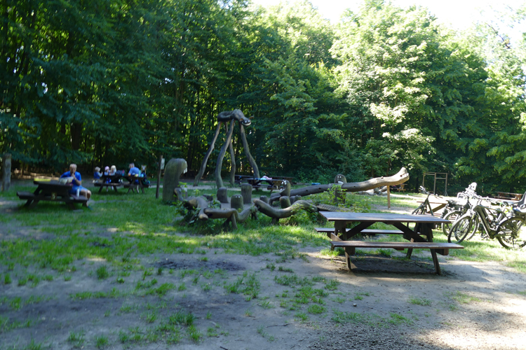KletterWald (4)