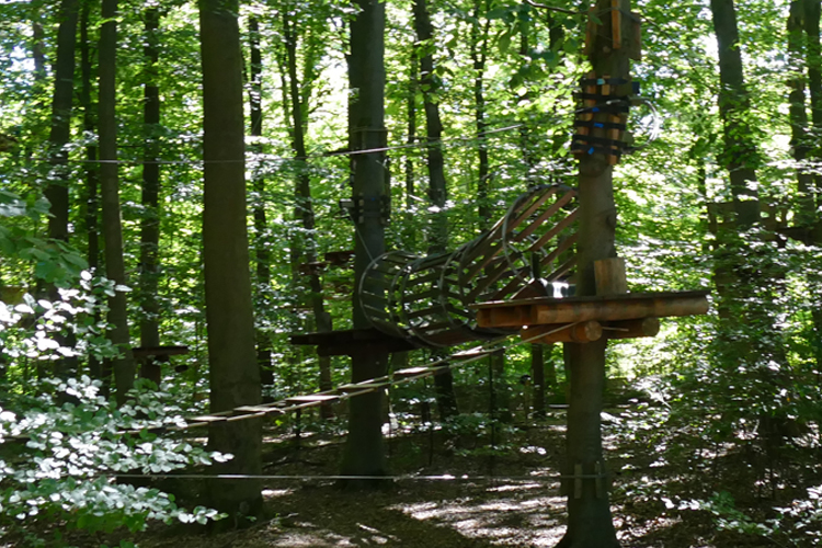 KletterWald (50)