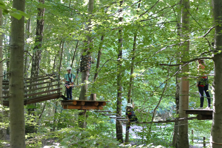 KletterWald (6)