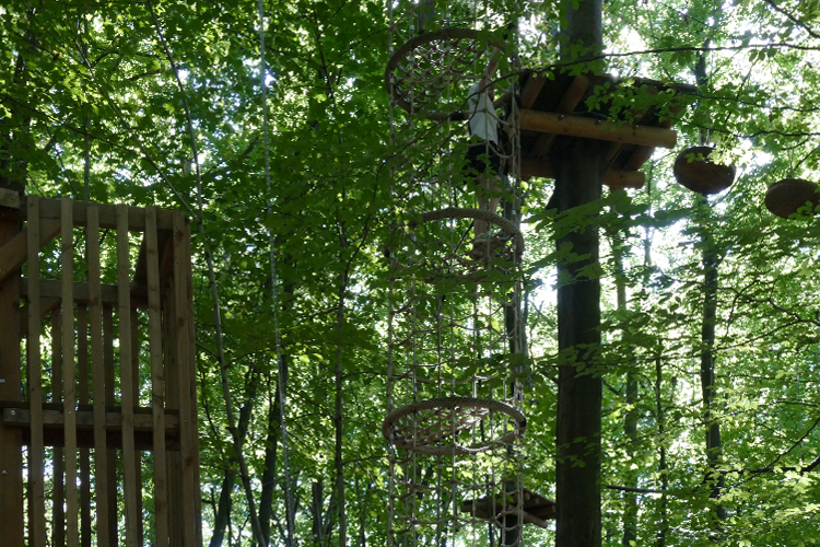 KletterWald (9)