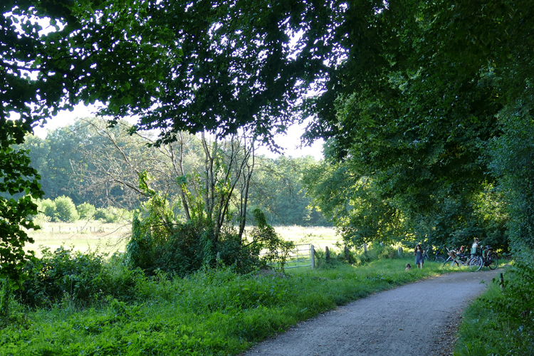 Volksdorfer Teichwiesen (10)