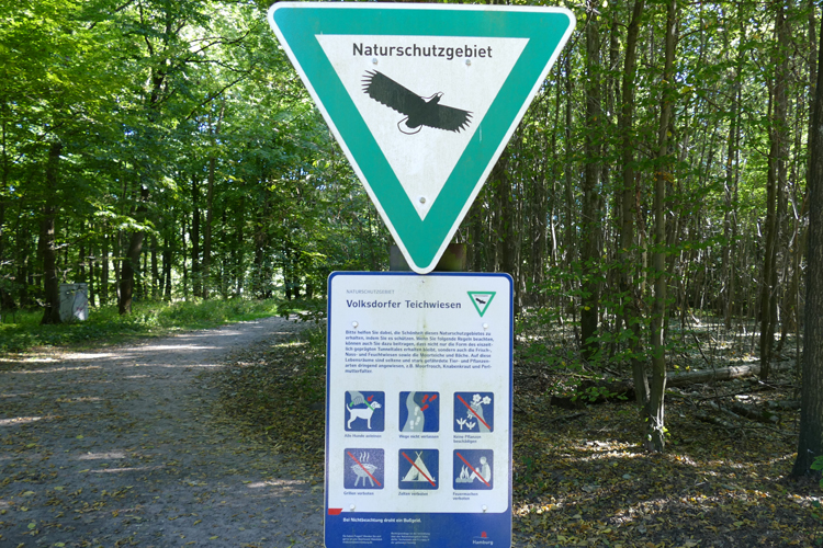 Volksdorfer Teichwiesen (102)