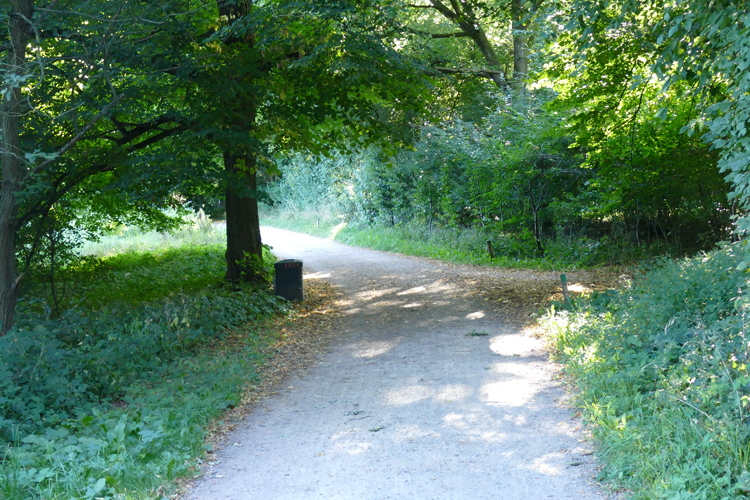 Volksdorfer Teichwiesen (11)