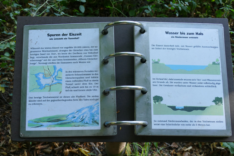 Volksdorfer Teichwiesen (15)