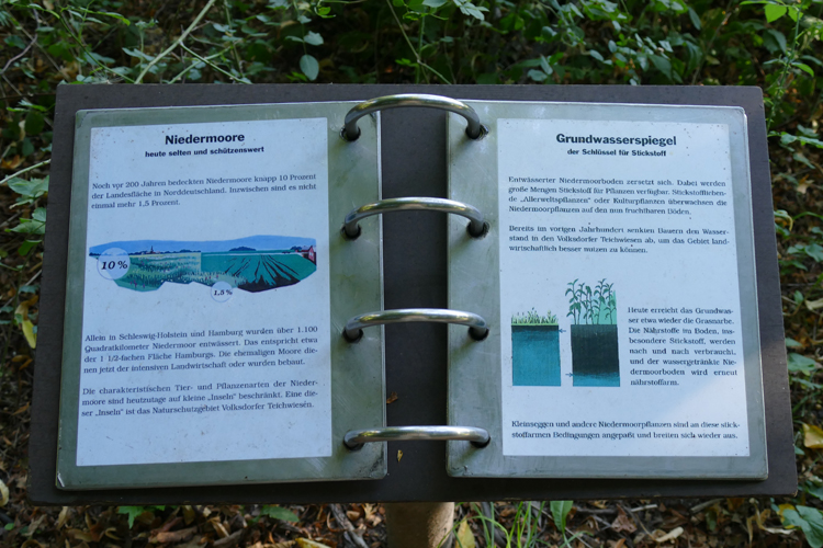 Volksdorfer Teichwiesen (16)