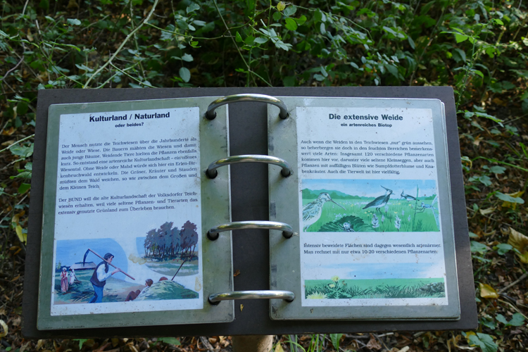 Volksdorfer Teichwiesen (17)