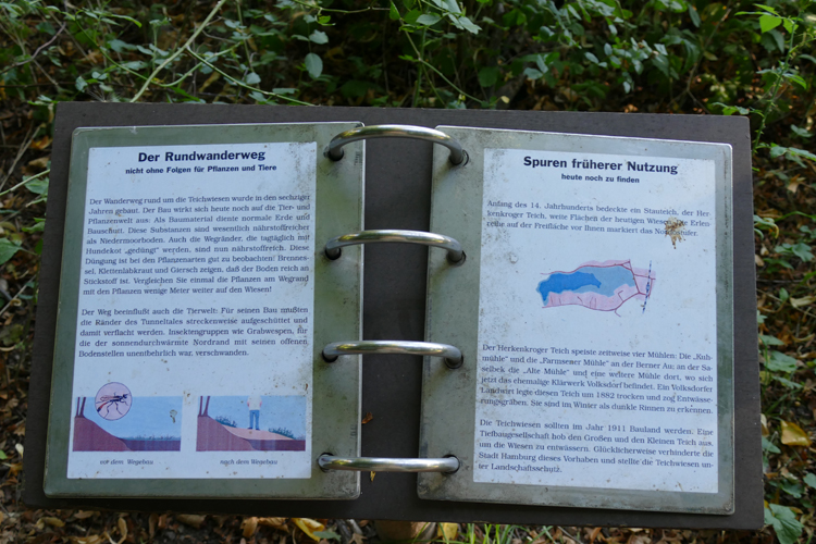 Volksdorfer Teichwiesen (18)