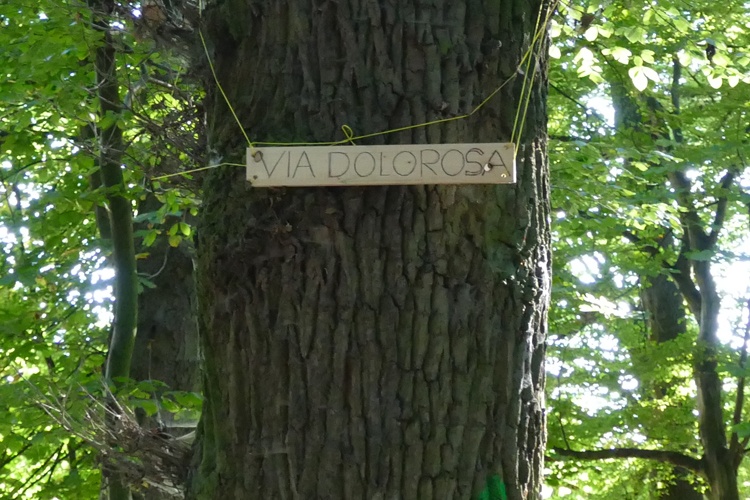 Volksdorfer Teichwiesen (20)