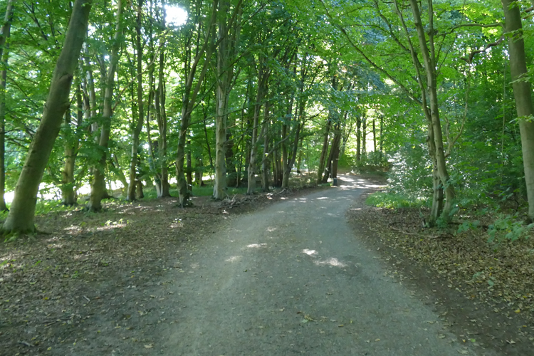 Volksdorfer Teichwiesen (21)