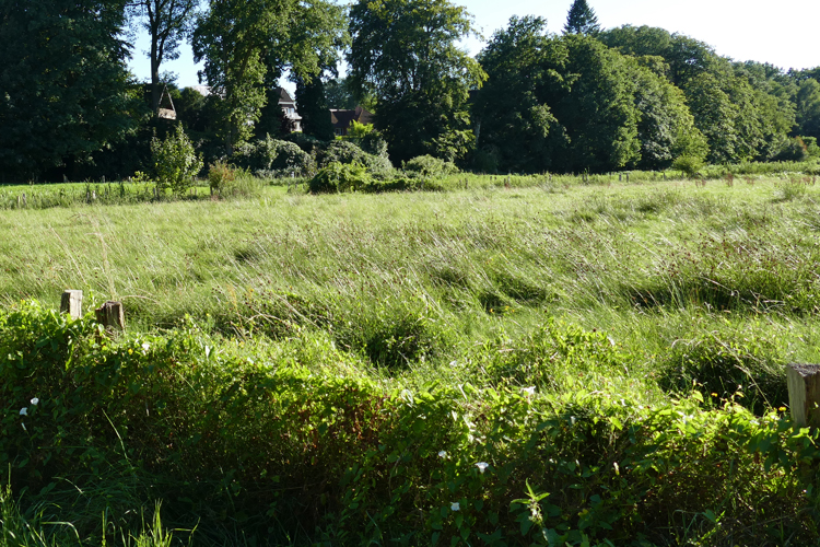 Volksdorfer Teichwiesen (26)