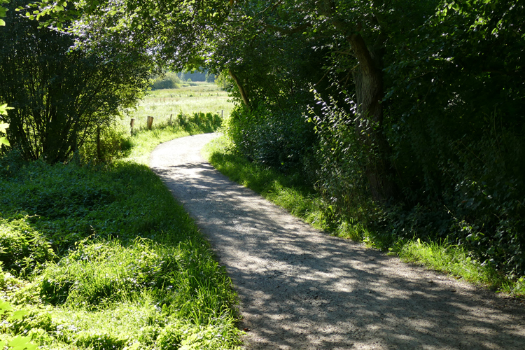 Volksdorfer Teichwiesen (27)