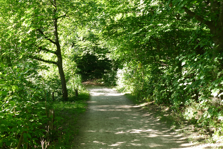 Volksdorfer Teichwiesen (30)