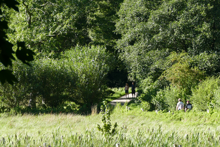 Volksdorfer Teichwiesen (33)