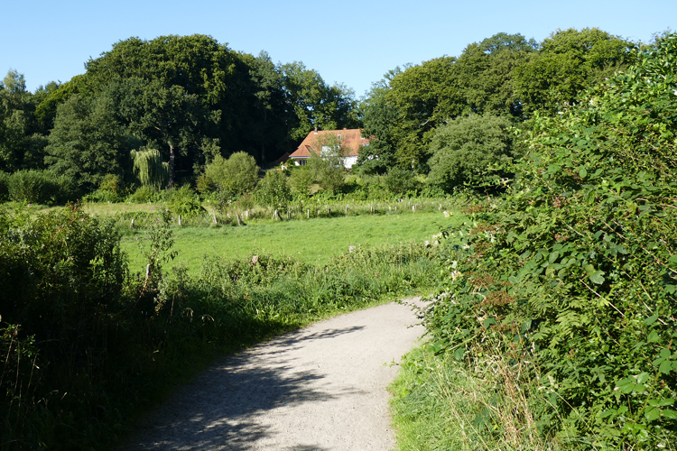 Volksdorfer Teichwiesen (37)