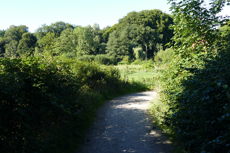 Volksdorfer Teichwiesen (38)