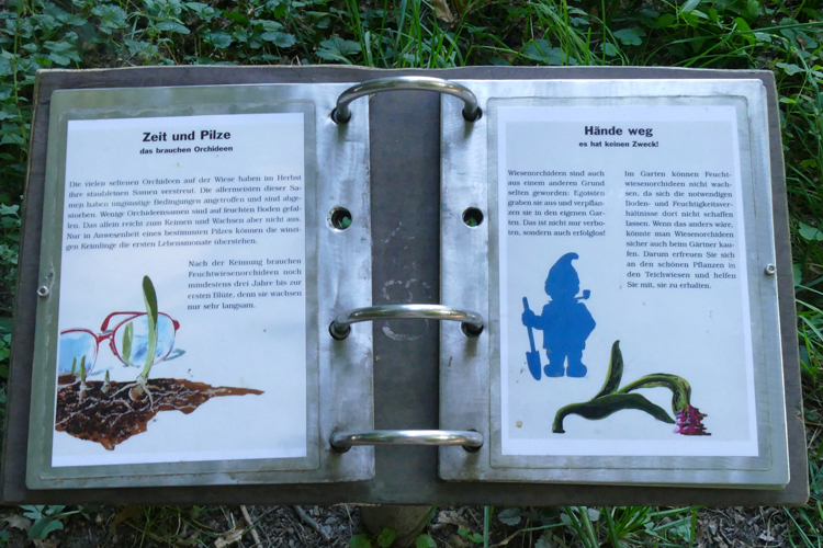 Volksdorfer Teichwiesen (4)