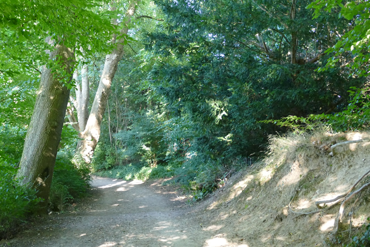 Volksdorfer Teichwiesen (42)