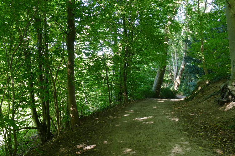 Volksdorfer Teichwiesen (44)