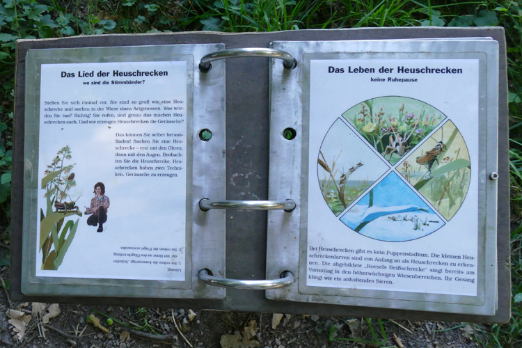 Volksdorfer Teichwiesen (5)