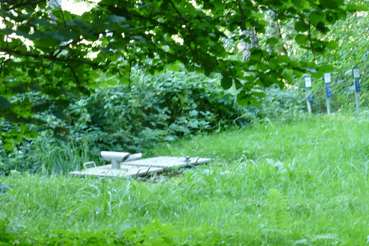 Volksdorfer Teichwiesen (55)