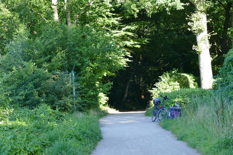 Volksdorfer Teichwiesen (68)
