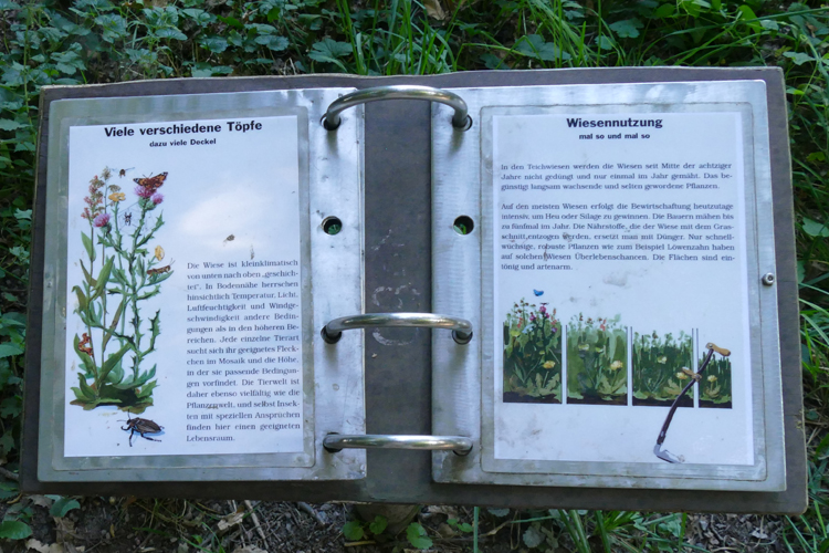 Volksdorfer Teichwiesen (7)