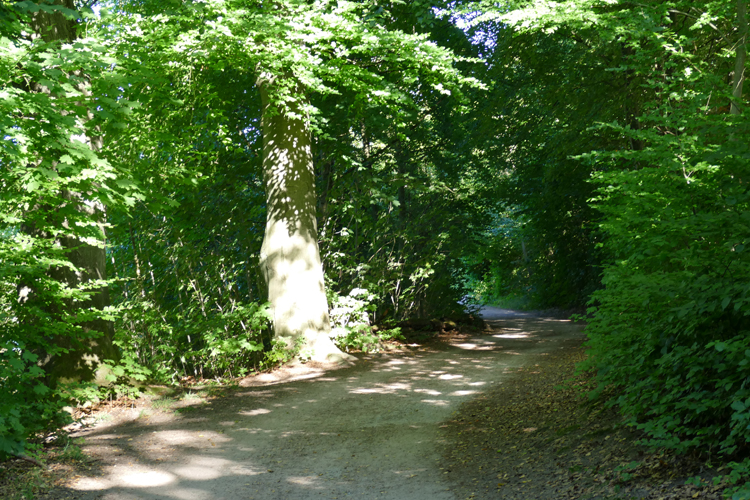 Volksdorfer Teichwiesen (72)