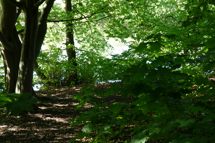 Volksdorfer Teichwiesen (73)