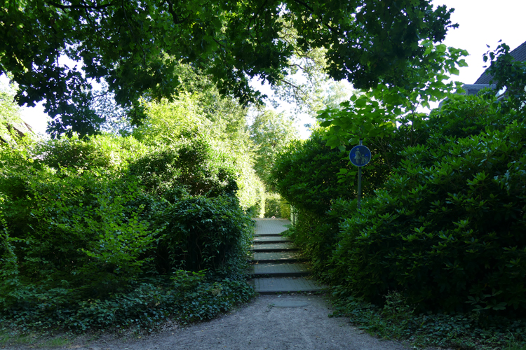 Volksdorfer Teichwiesen (74)