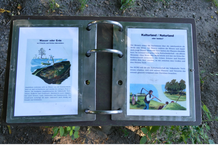 Volksdorfer Teichwiesen (82)