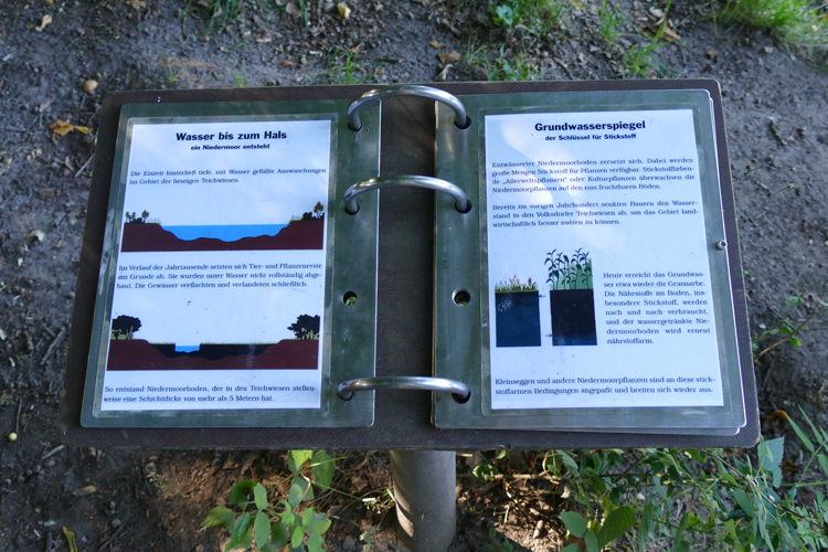 Volksdorfer Teichwiesen (84)