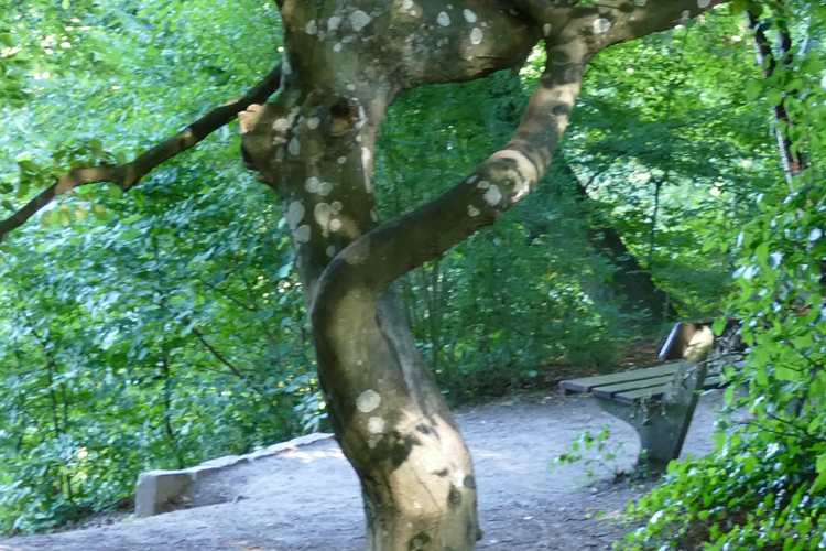 Volksdorfer Teichwiesen (86)