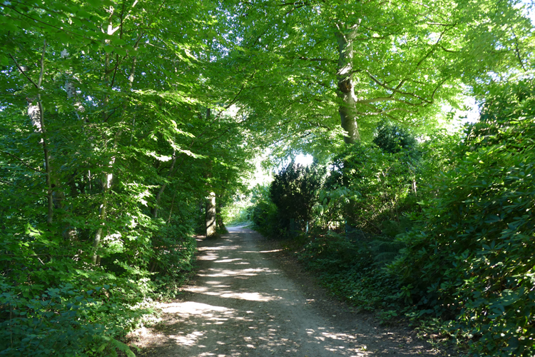 Volksdorfer Teichwiesen (87)