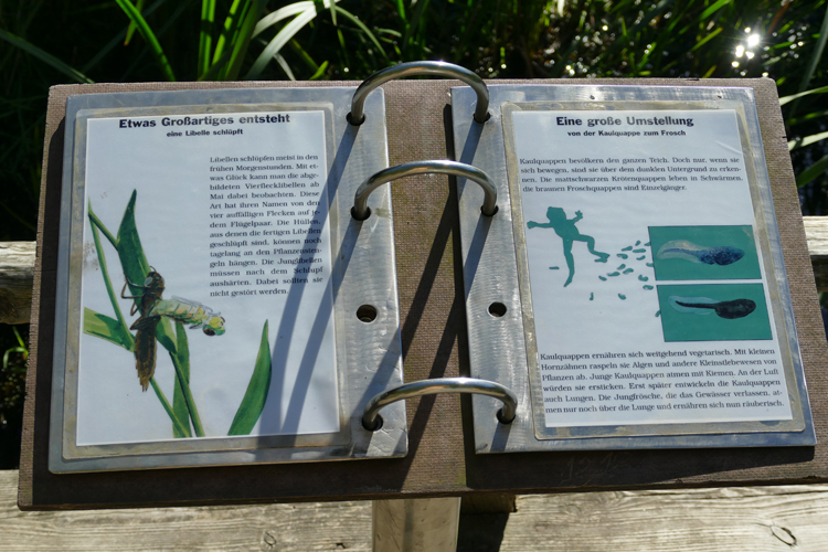 Volksdorfer Teichwiesen (95)