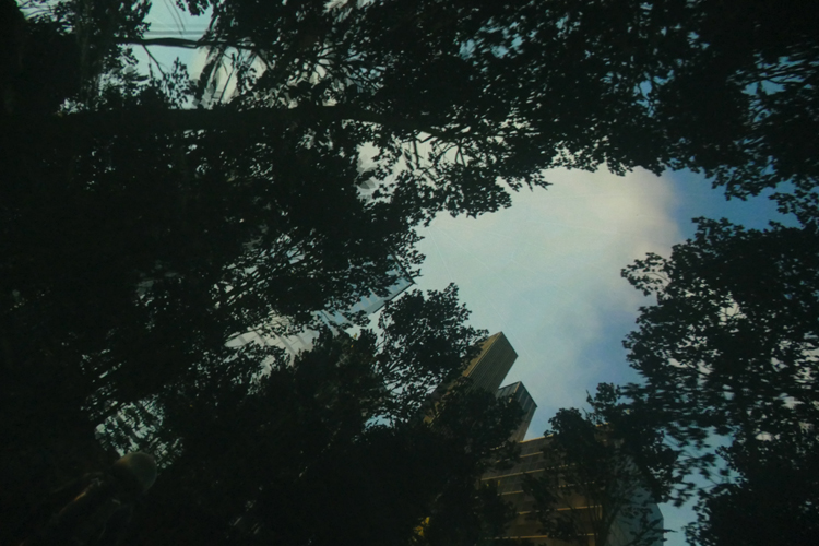Imagine Dragons (30)